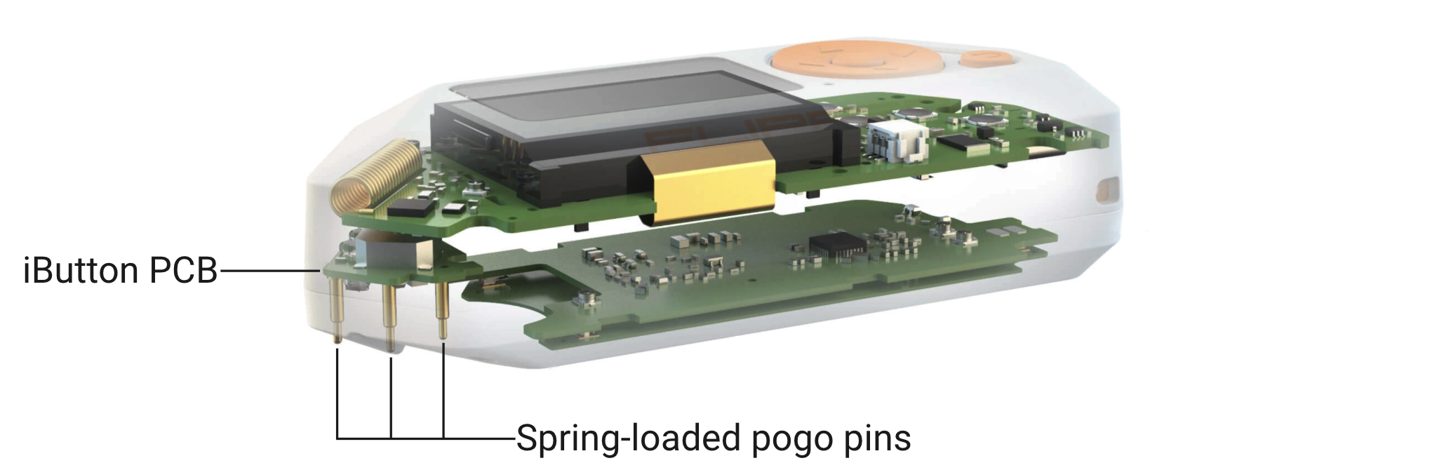 iButton module's pins